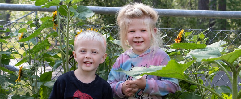 Två barn bland solrosor.
