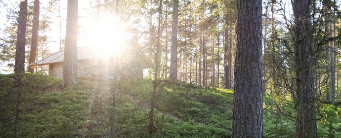 Bild på naturreservat i Eksjö kommun.